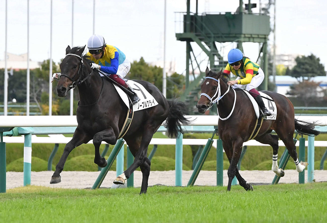 阪神5Rを制したノーブルクライ（2022年11月6日撮影）