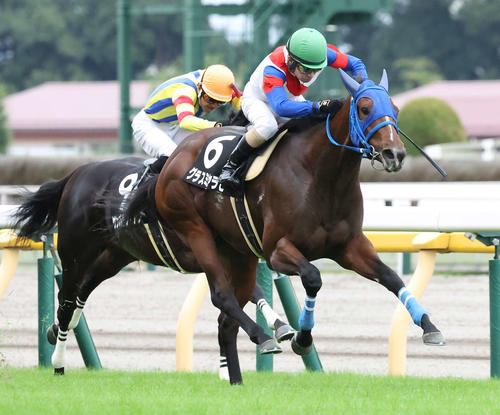 10月9日、三鷹特別を制したグラスミヤラビと柴田善臣騎手