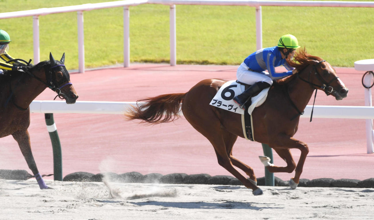 10月1日、新馬戦を快勝したプラーヴィ