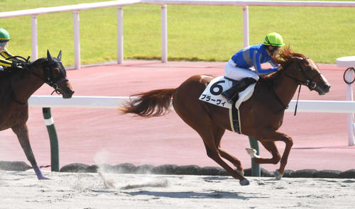 10月1日、新馬戦を快勝したプラーヴィ