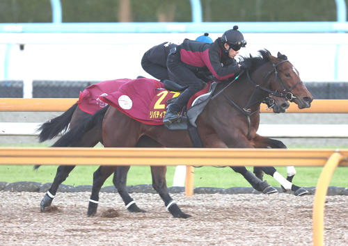 Cウッドをアラジンバローズ（奥）と併せ馬で追い切るリバティアイランド（撮影・白石智彦）