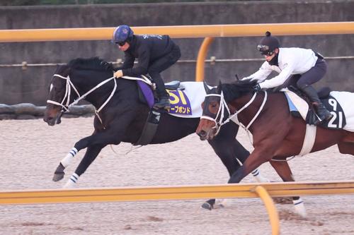 併せ馬で追い切られたディープボンド（左）
