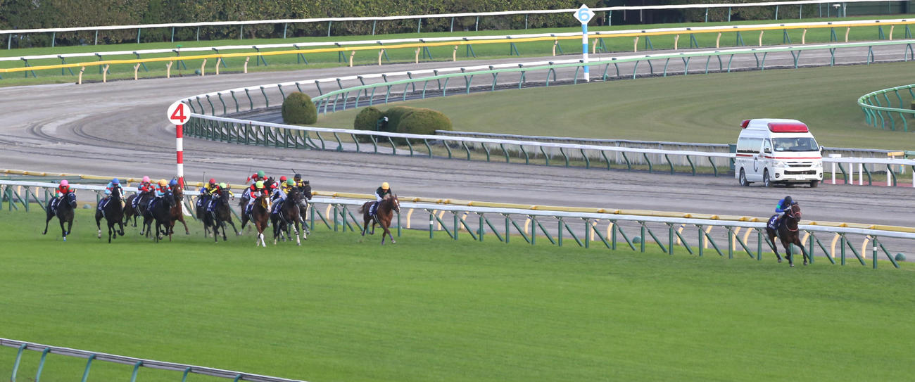 天皇賞・秋で大逃げするパンサラッサ（右端）。勝ったイクイノックスは左から2頭目