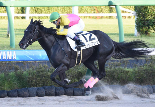 22年10月1日、中山12R3歳上2勝クラスを勝ったケイサンフリーゼ