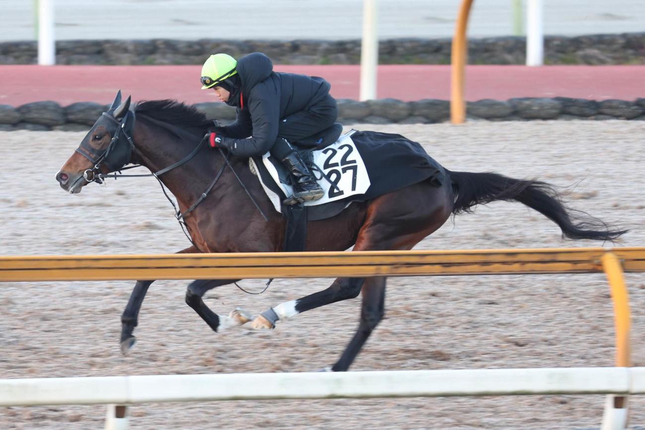 CWコース単走で軽快なフットワークをみせたヤマニンゼスト