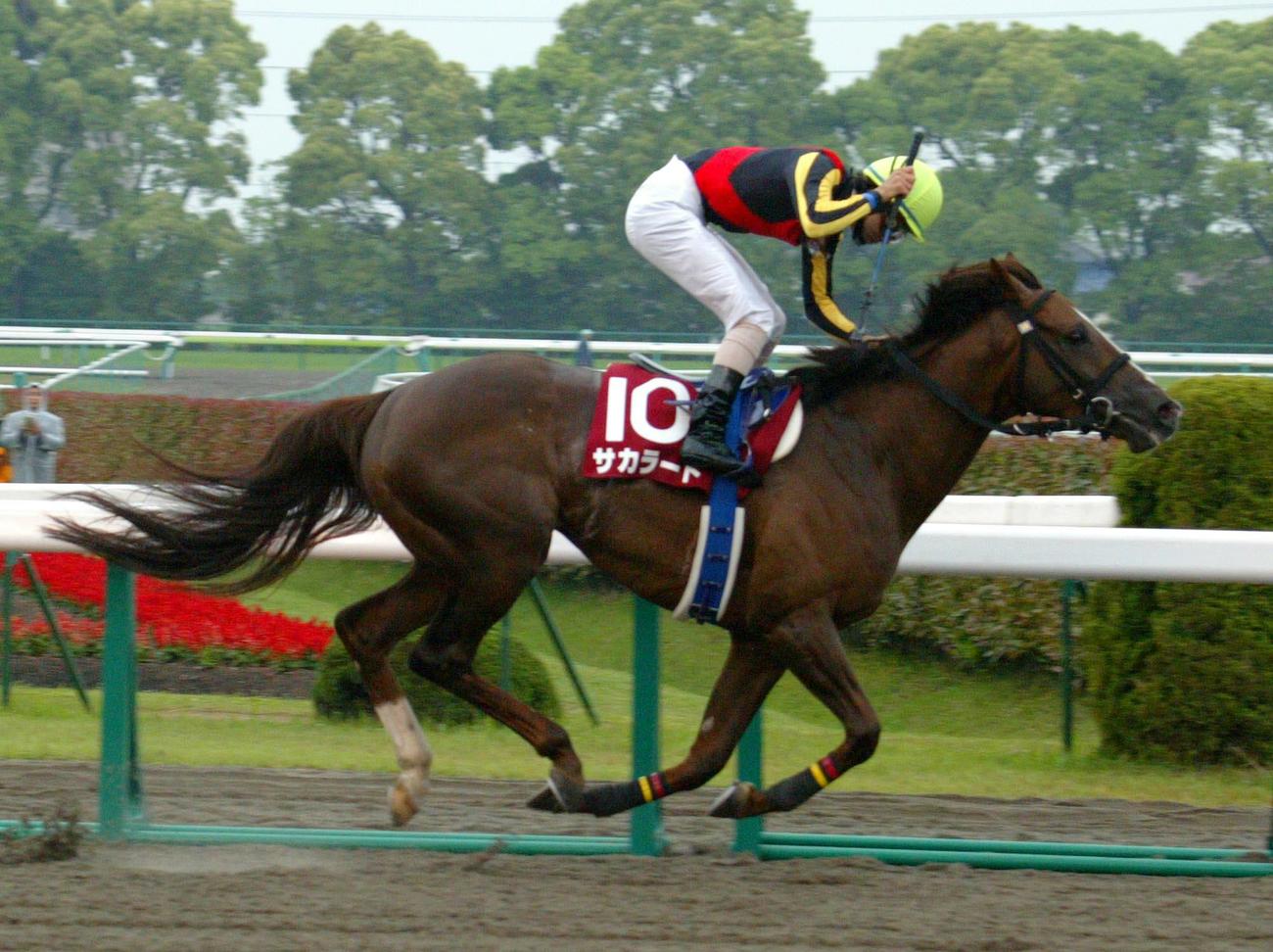 2005年5月22日、東海Sを逃げ切ったサカラート