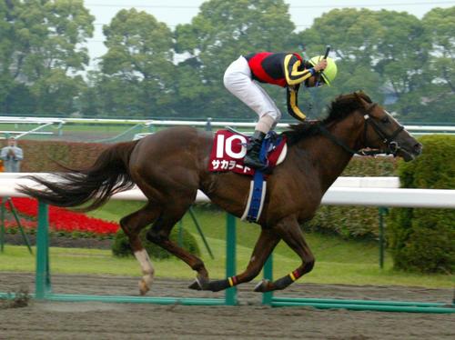2005年5月22日、東海Sを逃げ切ったサカラート
