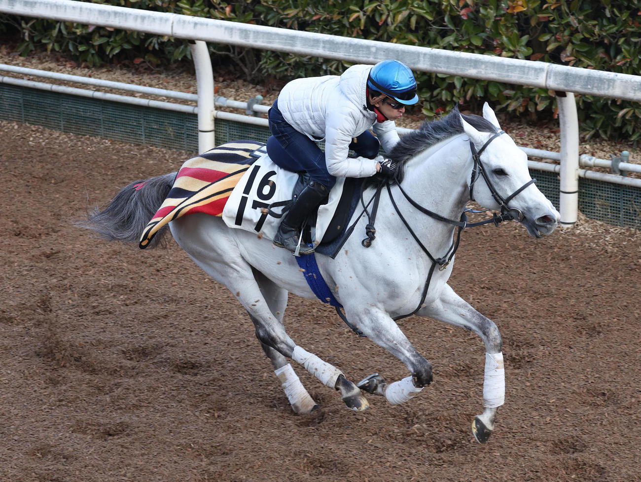 福永騎手を背に坂路を併せ馬で追い切るハヤブサナンデクン（撮影・白石智彦）