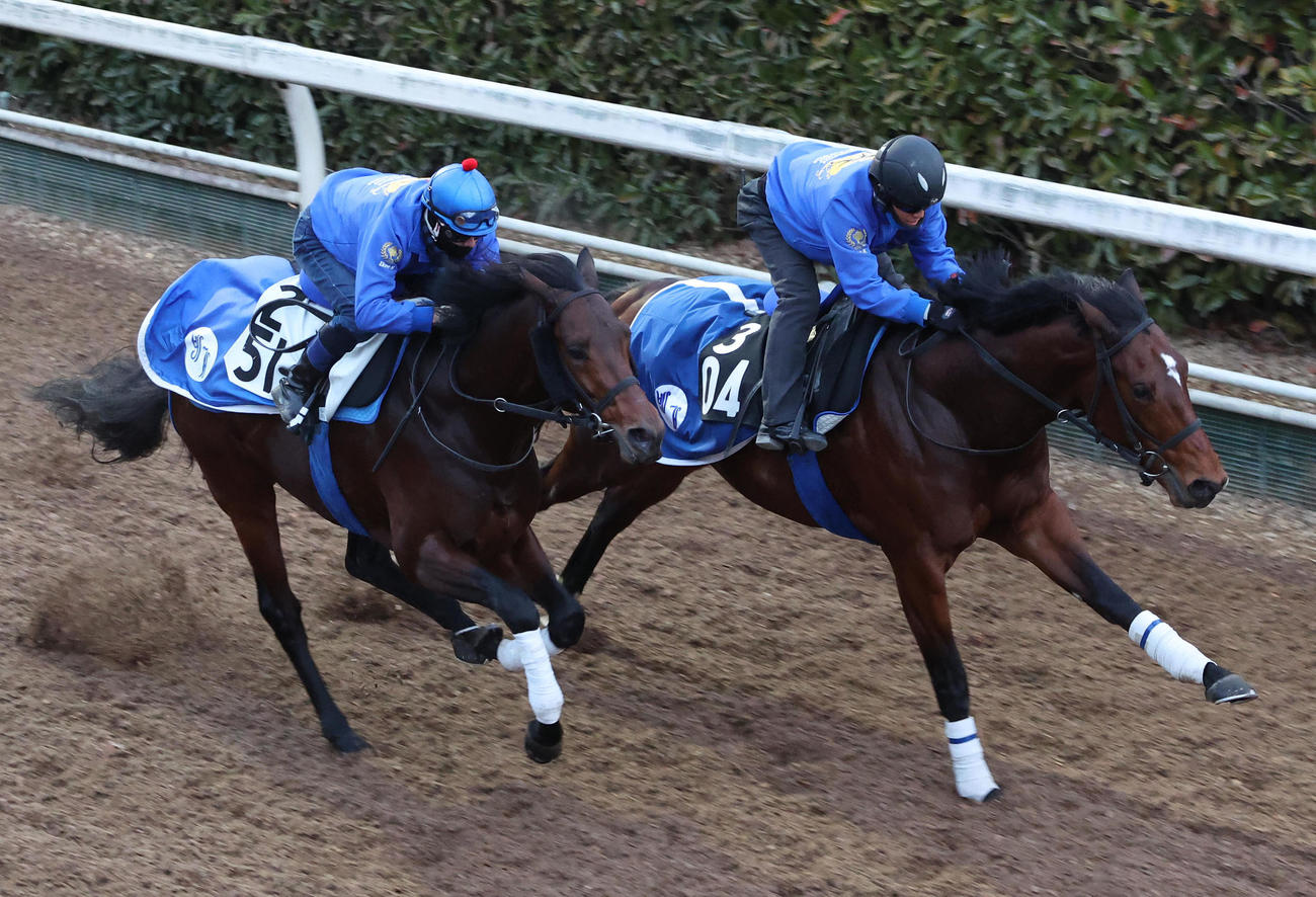 坂路をグランデスフィーダ（右）と併せ馬で追い切るウェルカムニュース（撮影・白石智彦）