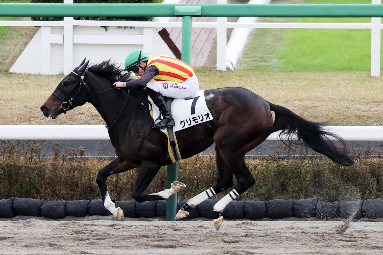 22年12月、1勝クラスを制したグリモリオ