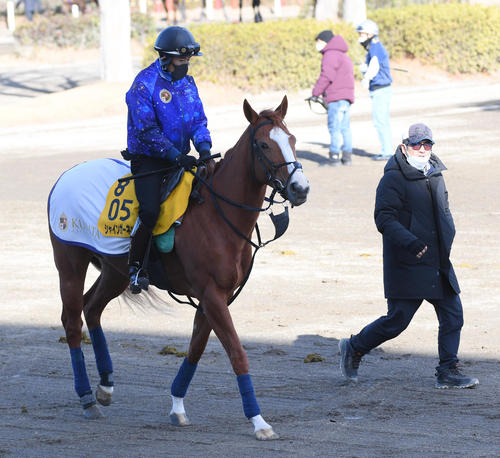 調教に向かうシャインガーネット、右は栗田徹調教師(撮影・柴田隆二)