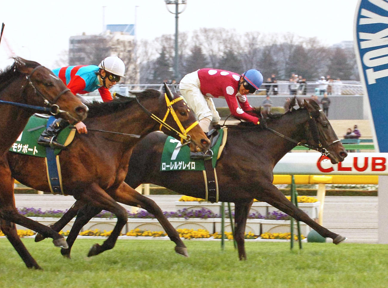 08年東京新聞杯を制したローレルゲレイロと藤田伸二騎手