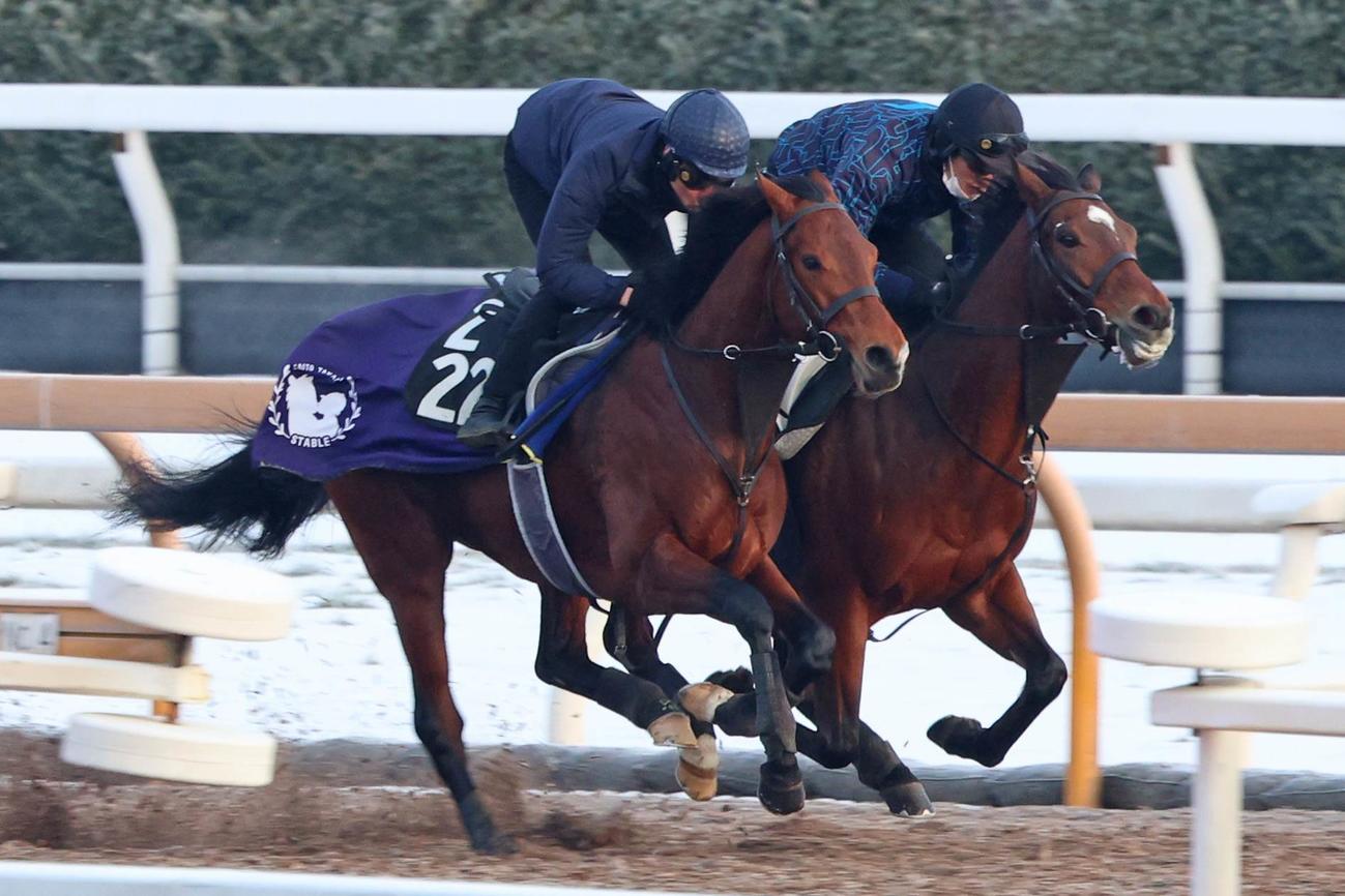 ムルザバエフ騎手が騎乗し、ヒンドゥタイムズ（右）と馬体を併せて追い切られたオープンファイア