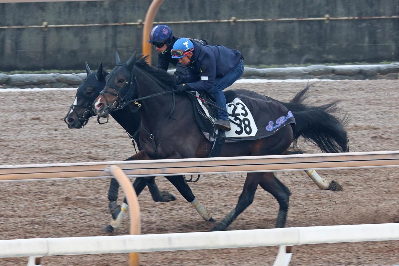 川田騎手が騎乗し、リューベック（右）と馬体を併せて追い切られたフリームファクシ