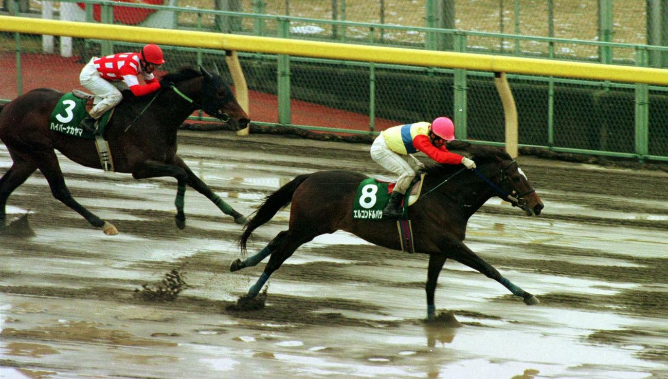 共同通信杯1着、エルコンドルパサー（1998年2月15日撮影）