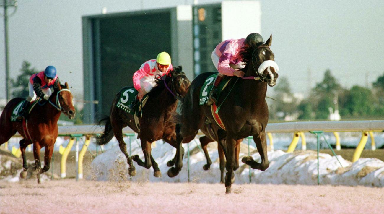 共同通信杯1着、ナリタブライアン（1994年2月14日撮影）