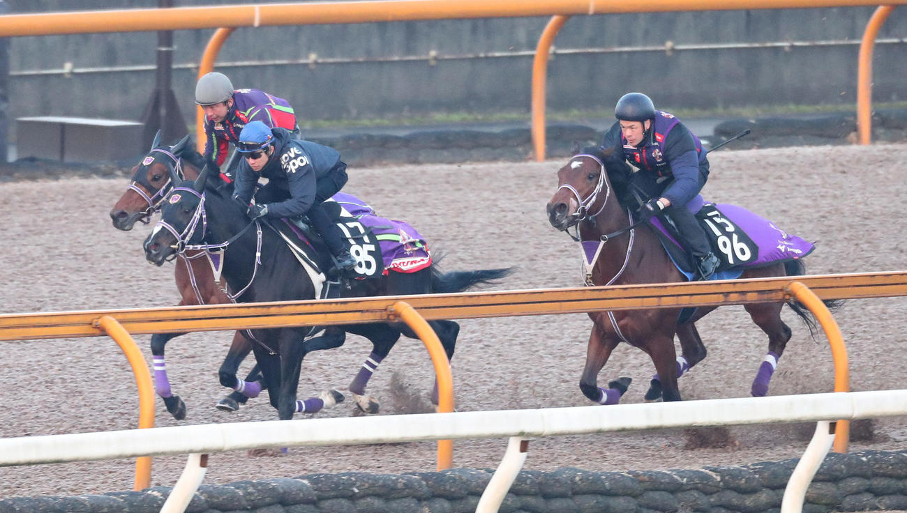 Cウッドを3頭併せで追い切るファントムシーフ（右）（撮影・白石智彦）