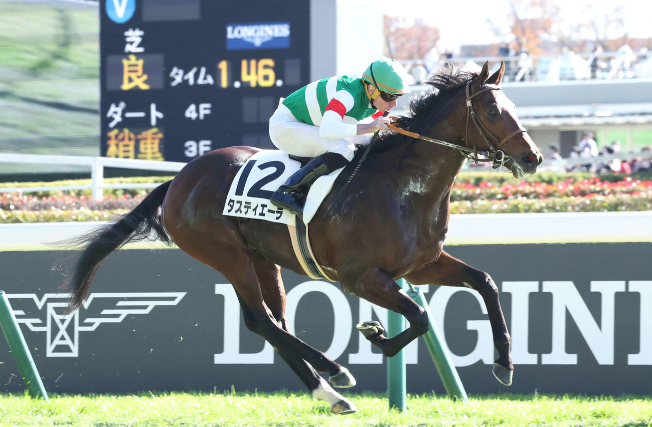 22年11月、新馬戦を制したタスティエーラ