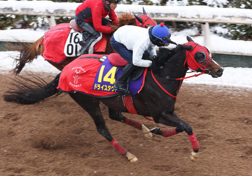 雪の中、戸崎騎手を背に坂路にて併せ馬で追い切るドライスタウト