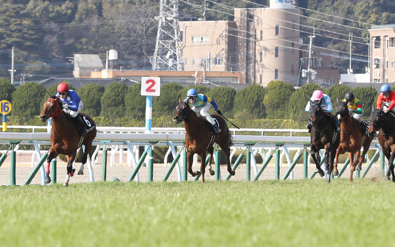 5日、合馬特別を制したタイセイブリリオ（左）
