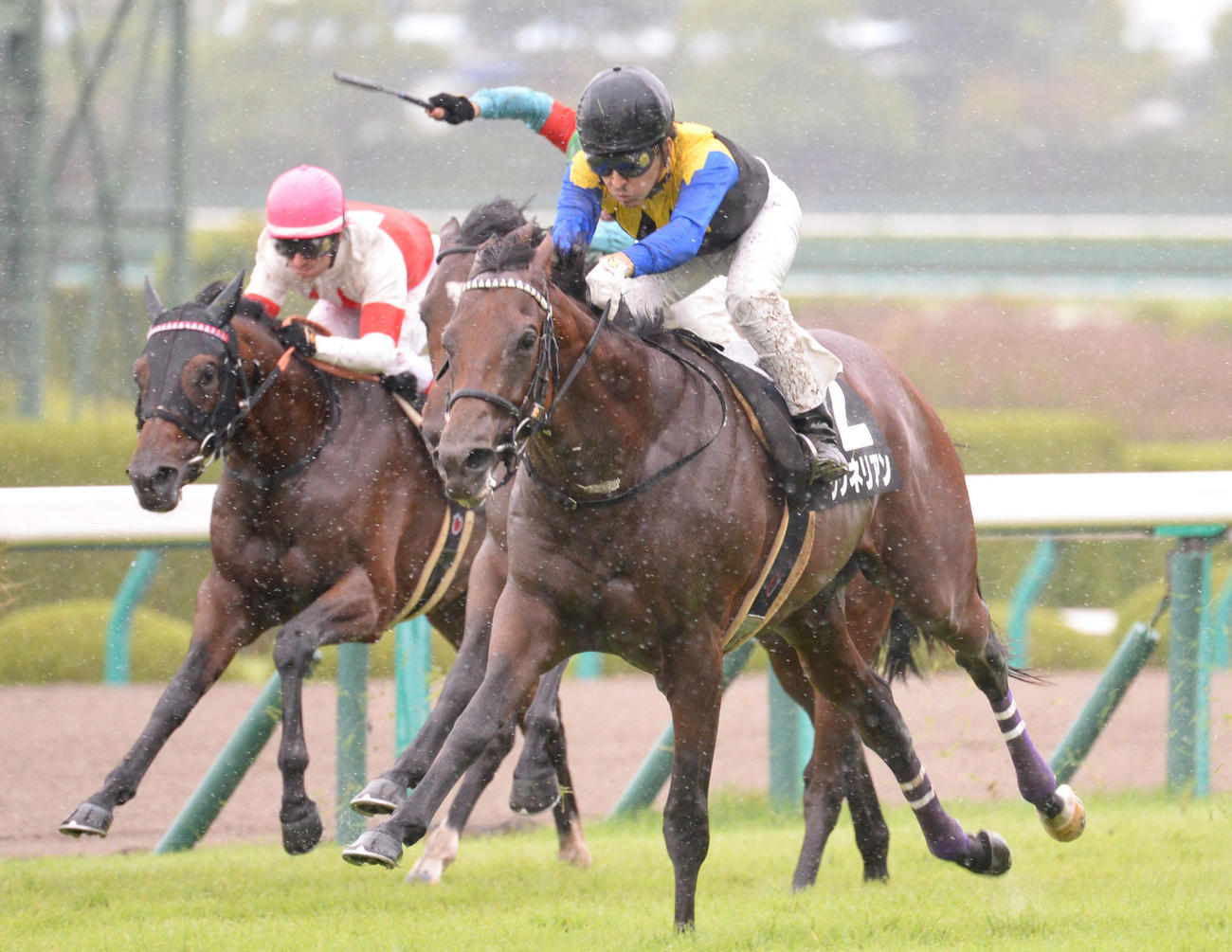 17年野路菊Sを快勝したワグネリアンと福永祐一騎手