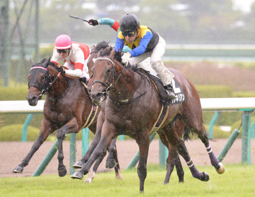 17年野路菊Sを快勝したワグネリアンと福永祐一騎手