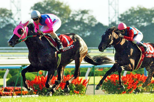 03年、デイリー杯2歳Sを制したメイショウボーラーと福永祐一騎手