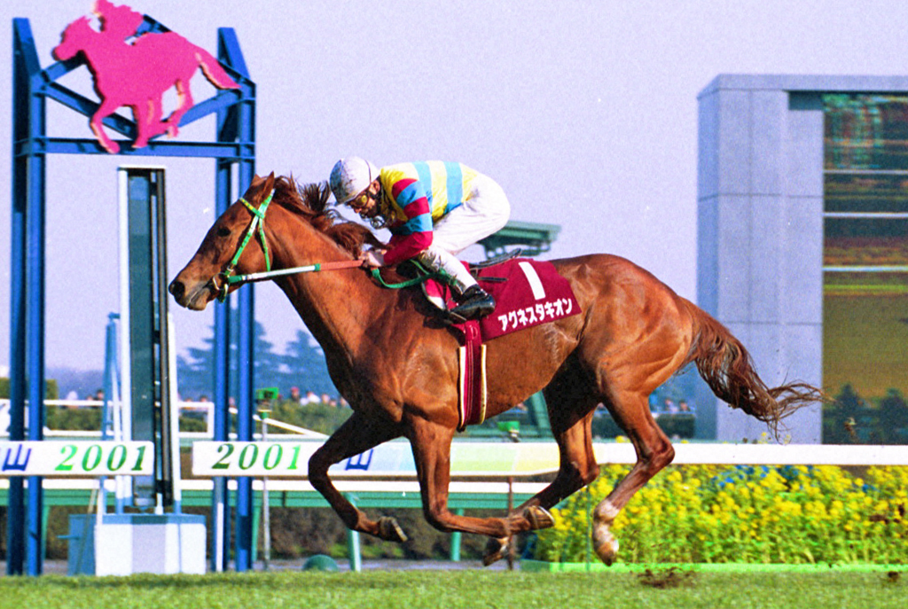 01年弥生賞を5馬身差で制したアグネスタキオン
