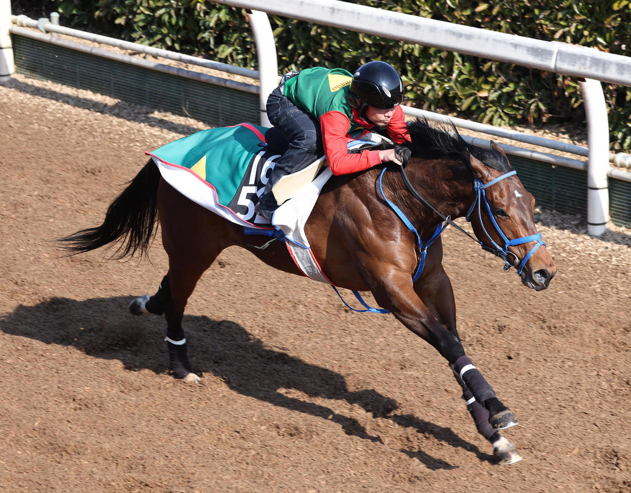 坂路を併せ馬で追い切るモズメイメイ（撮影・白石智彦）