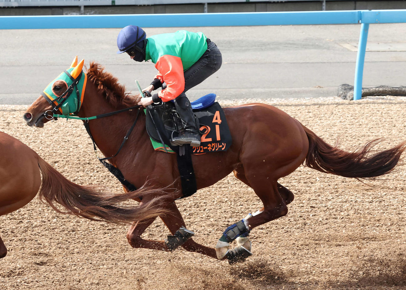 グリューネグリーンは美浦ウッドで追い切られた（撮影・丹羽敏通）
