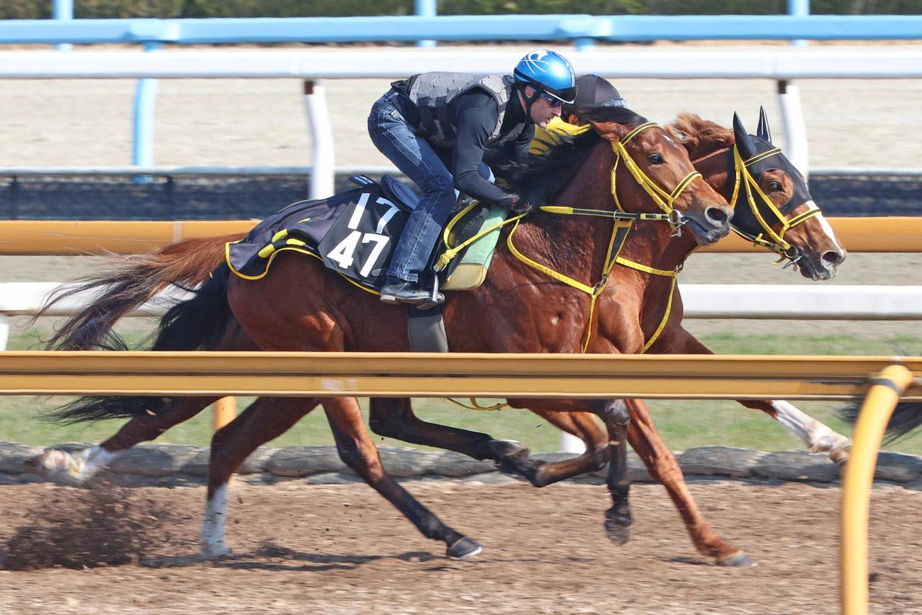 1日、ルメールが騎乗しCWコース併せ馬で追い切られたワンダイレクト（左）