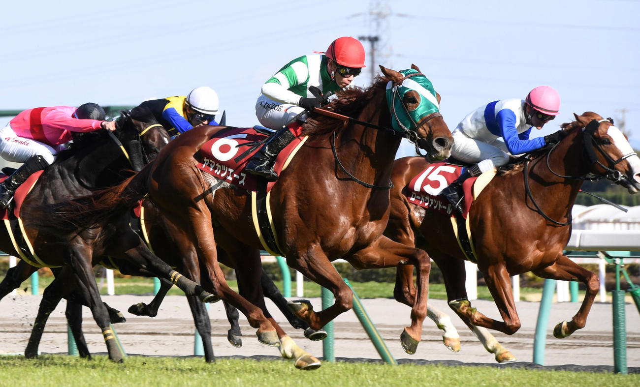 17年金鯱賞を制したヤマカツエース