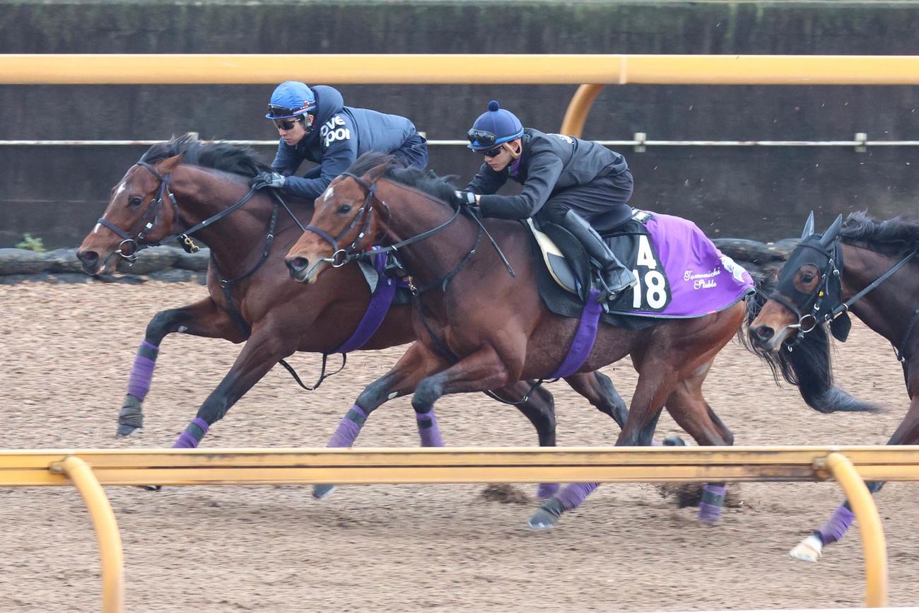 2日、ドウデュース（左）と併せて追い切るサトノグランツ