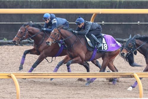 2日、ドウデュース(左)と併せて追い切るサトノグランツ