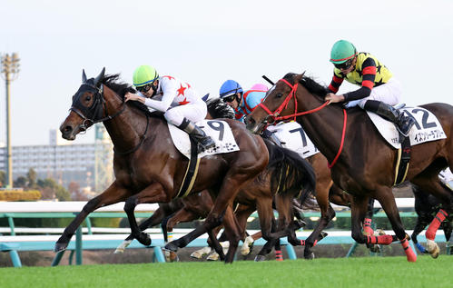 22年12月3日、3歳上2勝クラスを制したミッキーハーモニー(左)