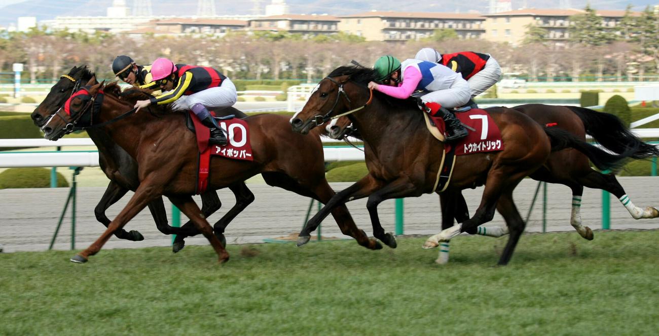 阪神大賞典を制したアイポッパー（2007年3月18日撮影）