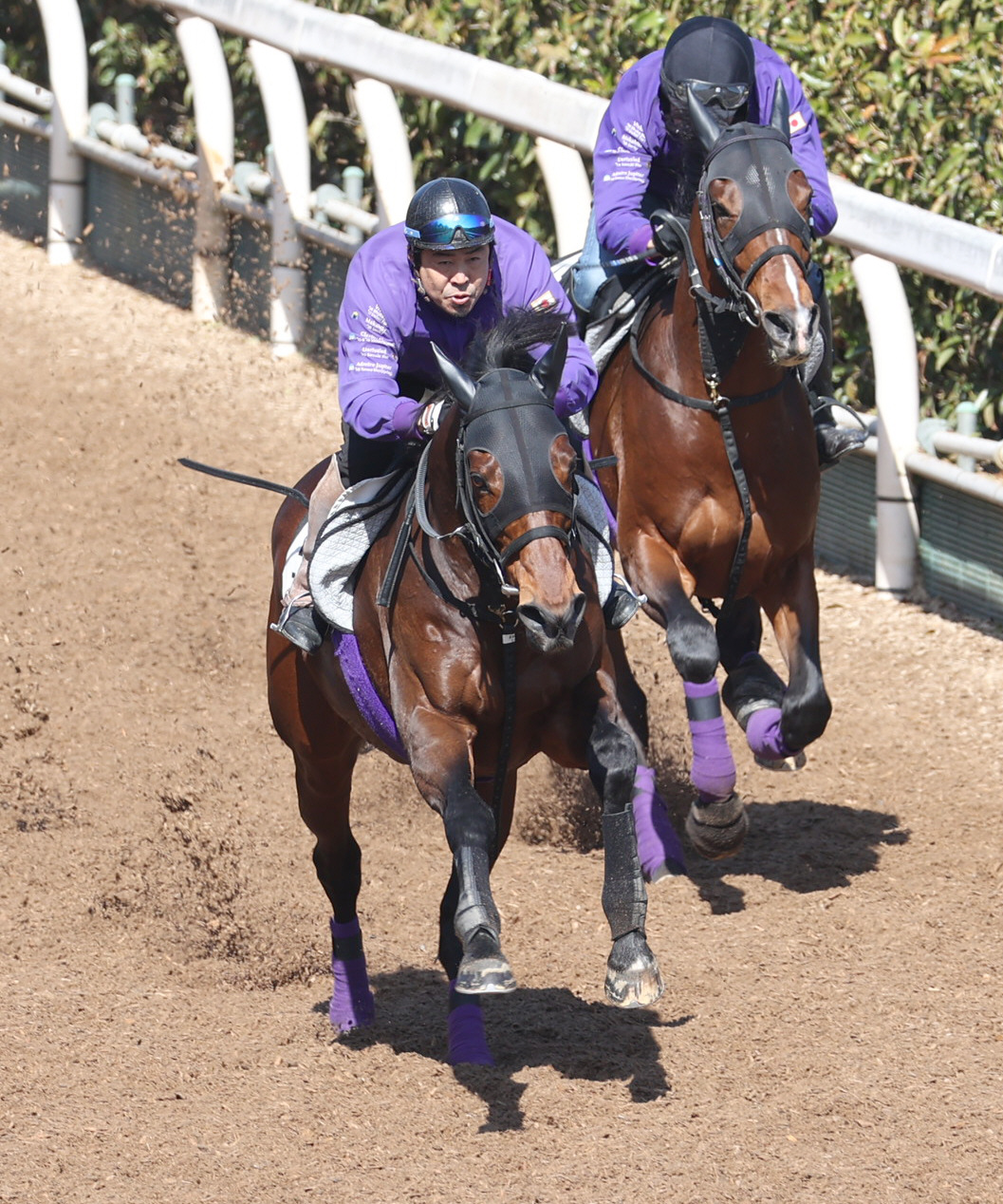坂路にて併せ馬で追い切るユーキャンスマイル（左）