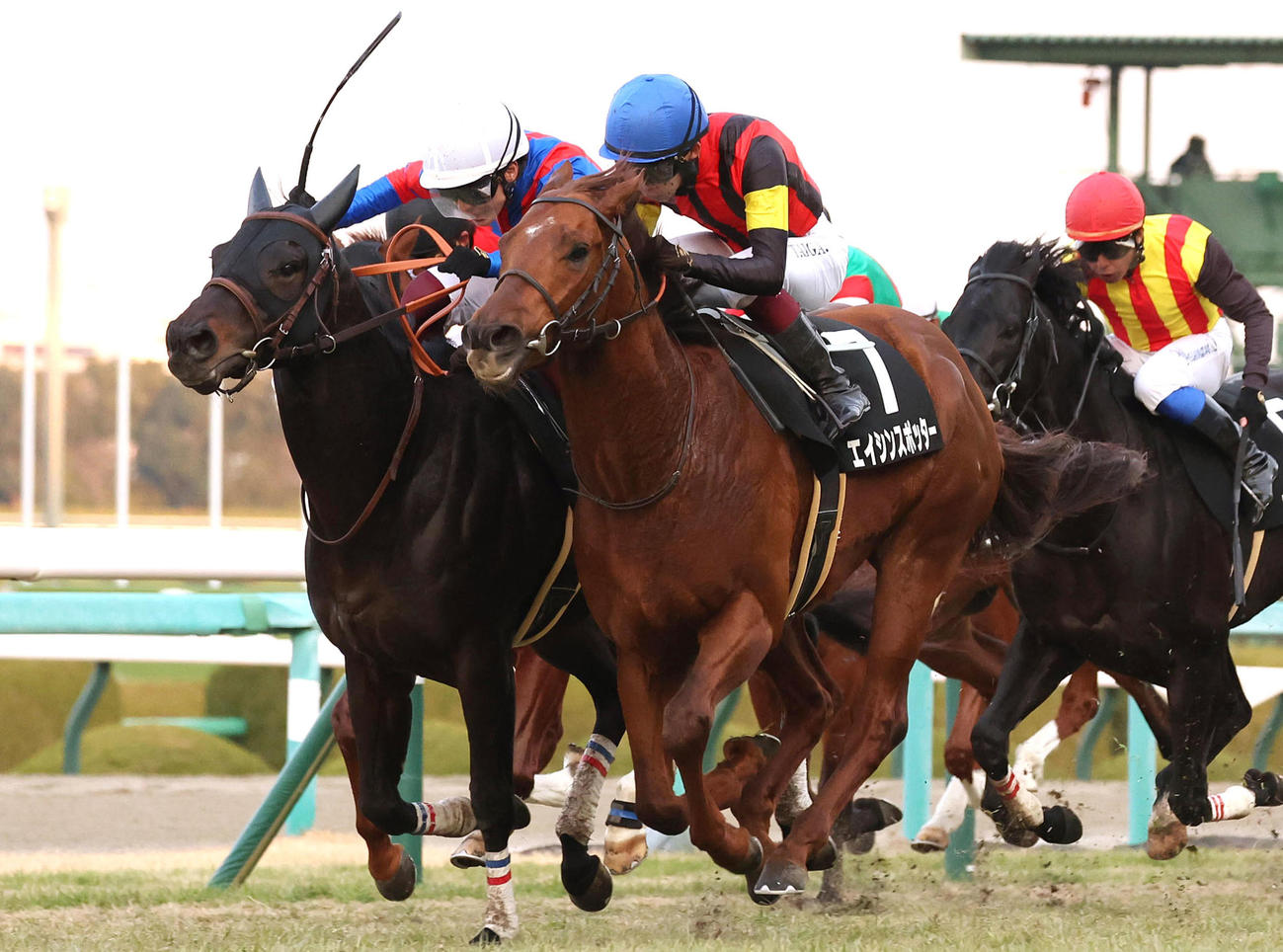 22年ファイナルS2着のヨシノイースター（左）。右は勝ったエイシンスポッター