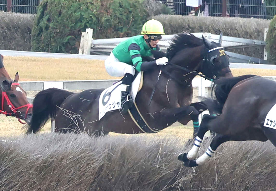障害3歳上未勝利戦を制したクリノオウジャと難波騎手（22年11月26日撮影）