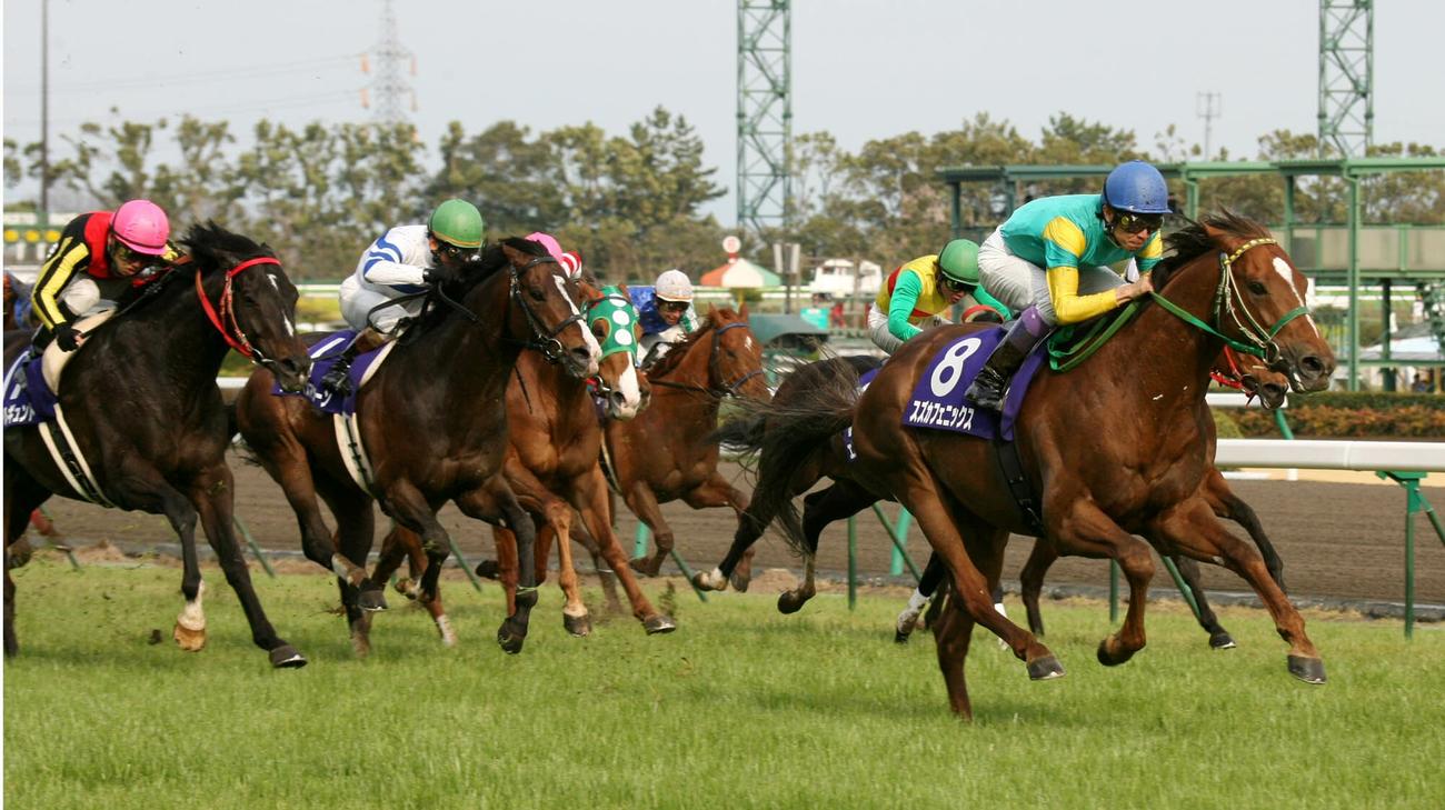高松宮記念を制したスズカフェニックス（2007年3月25日撮影）