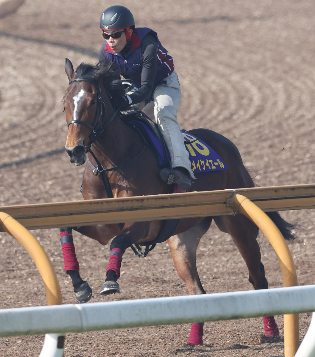 Cウッドコースで追い切るメイケイエール