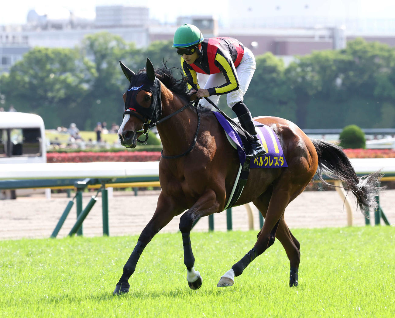 ベルクレスタ（2022年5月22日撮影）