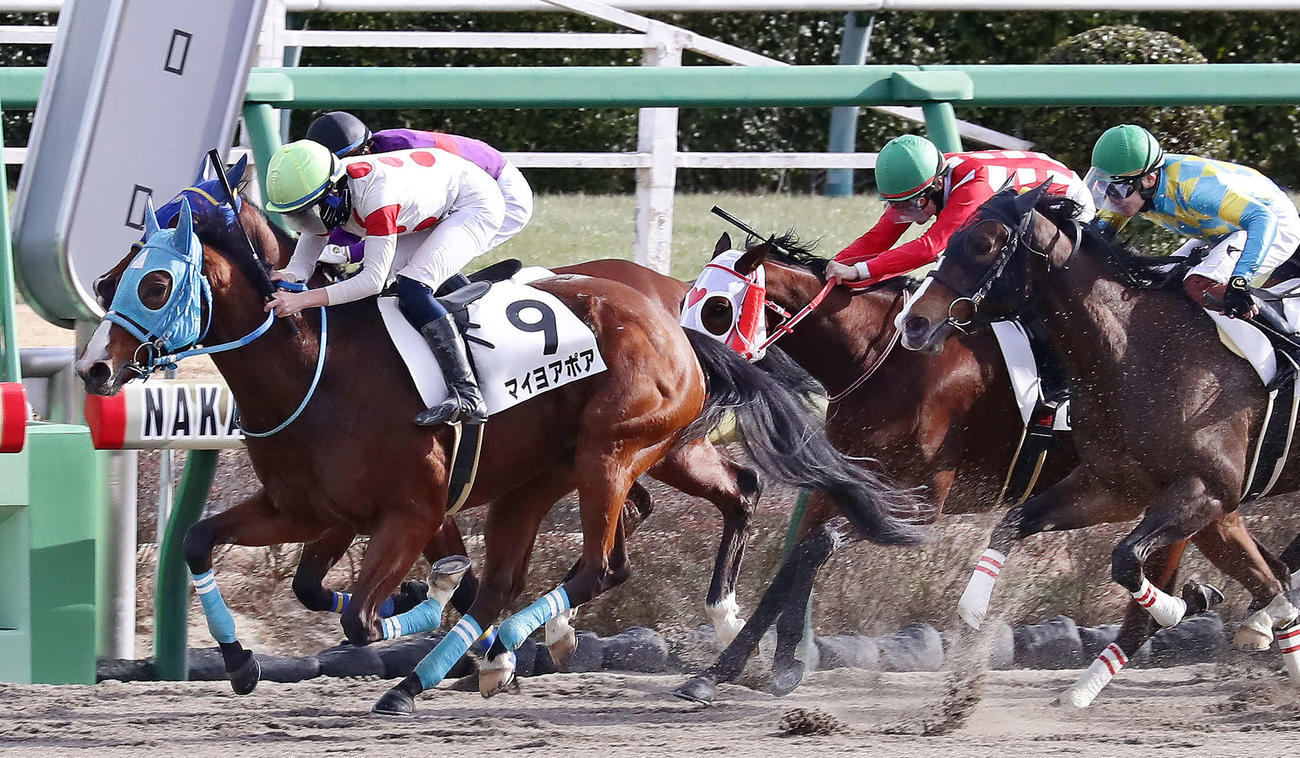 2022年1月15日、中山7R4歳上牝馬1勝クラスを制したマイヨアポア