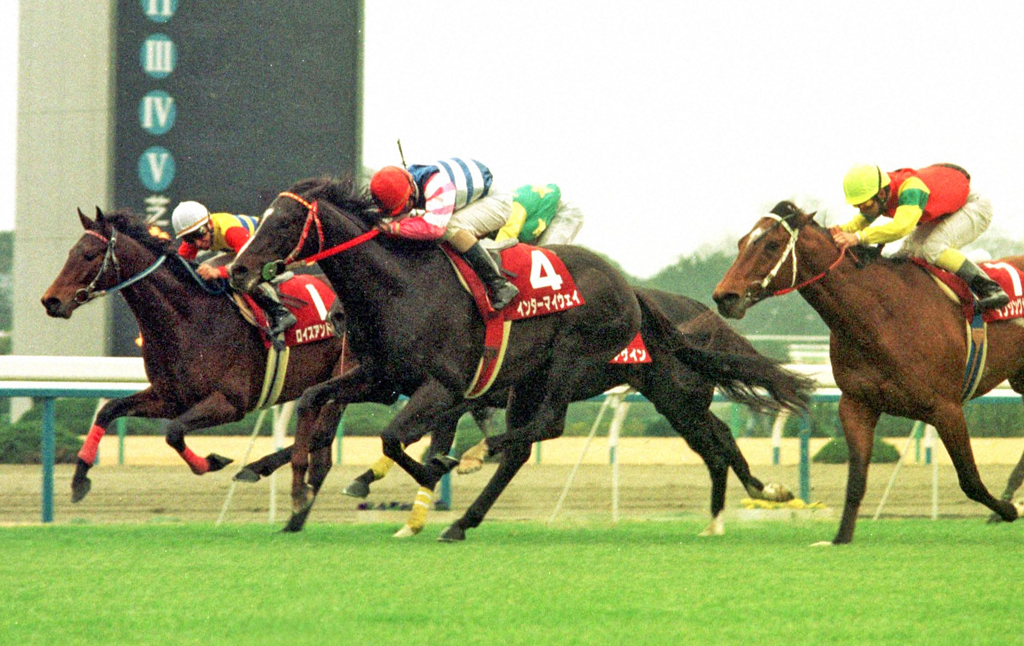 95年大阪杯を制した松永幹夫騎手騎乗のインターマイウェイ