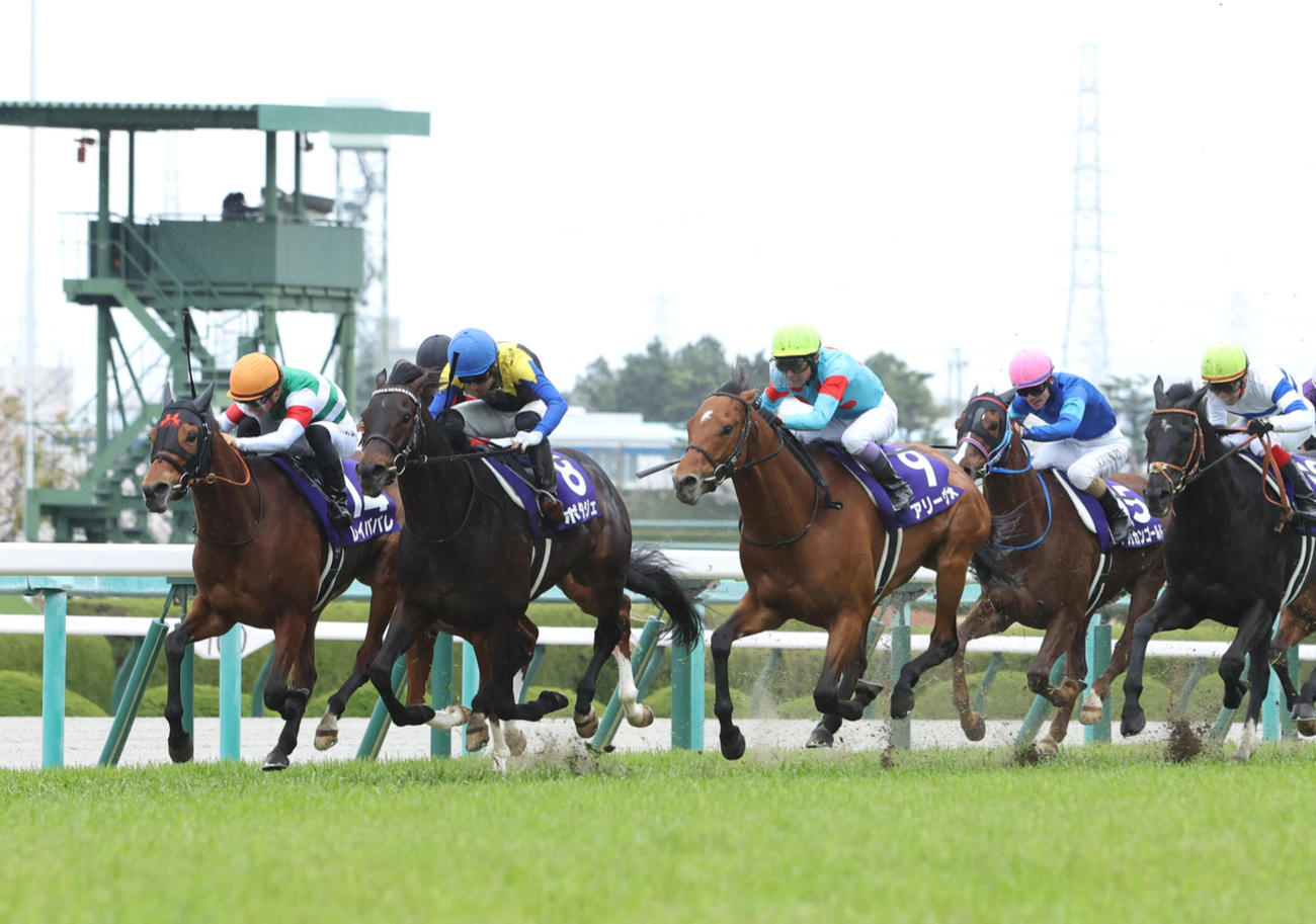 22年大阪杯を制したポタジェ（左から2頭目）。左端は2着レイパパレ
