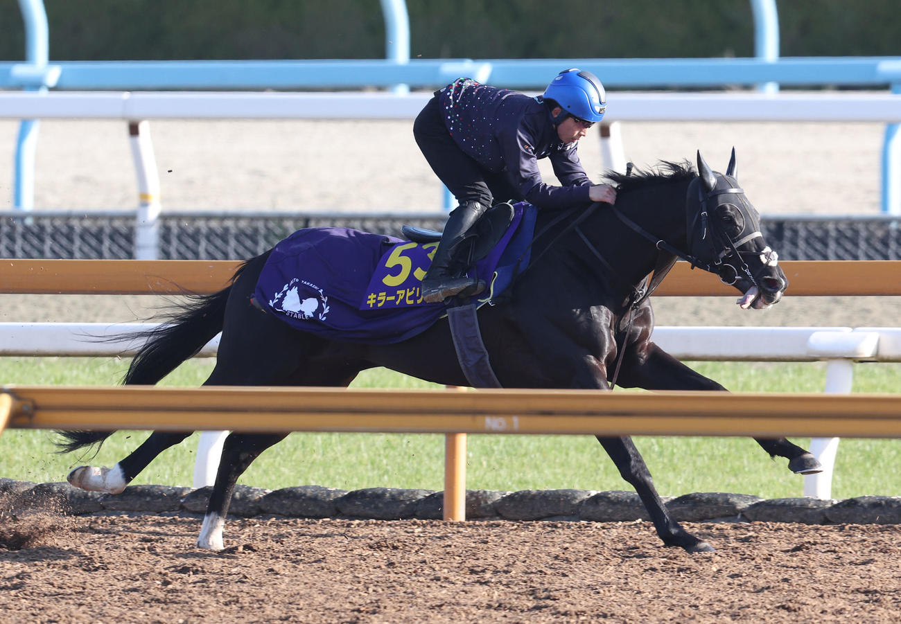 団野騎手を背にCウッドを単走で追い切るキラーアビリティ（撮影・白石智彦）