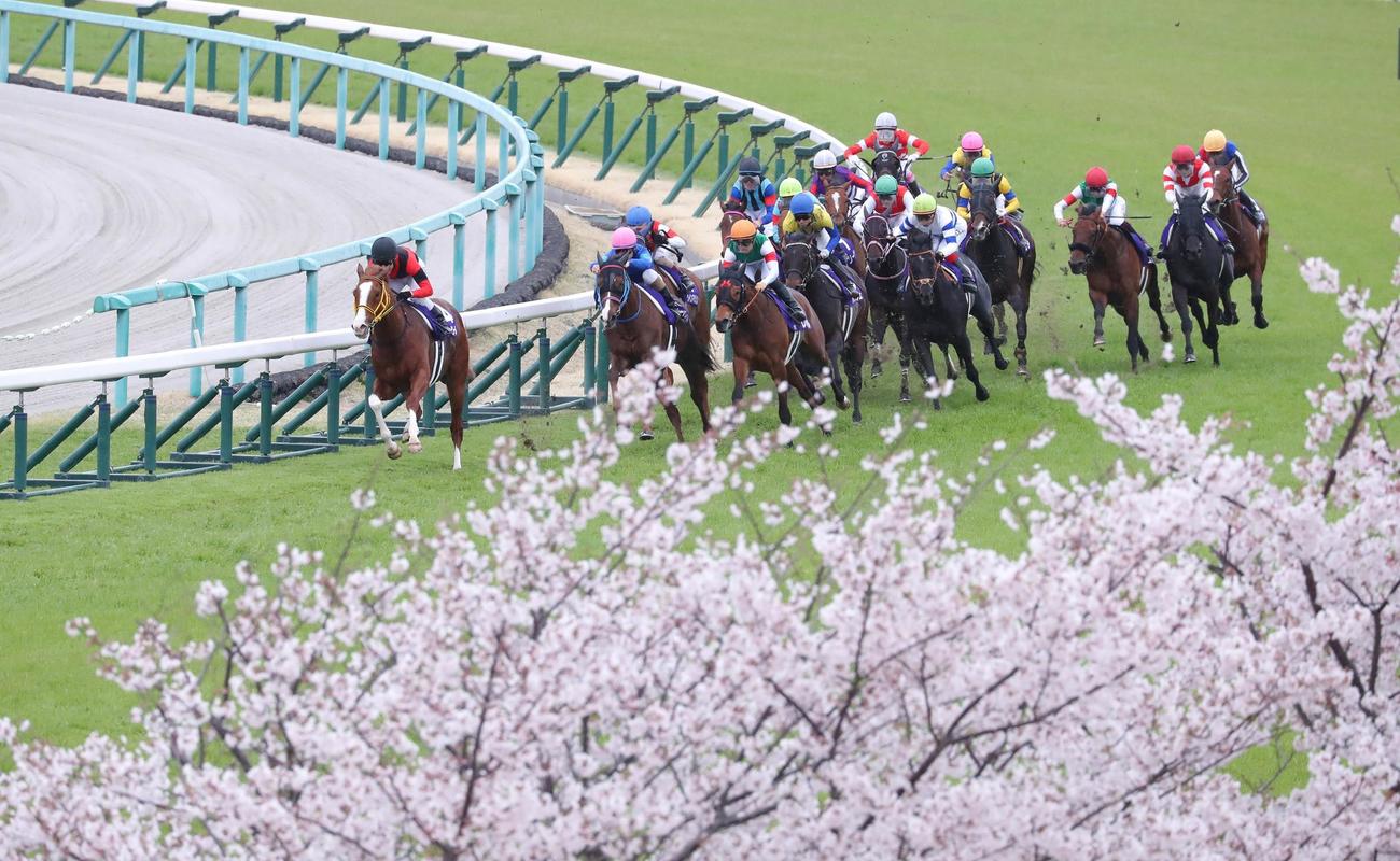 昨年の大阪杯で5着に敗れたジャックドール（左）