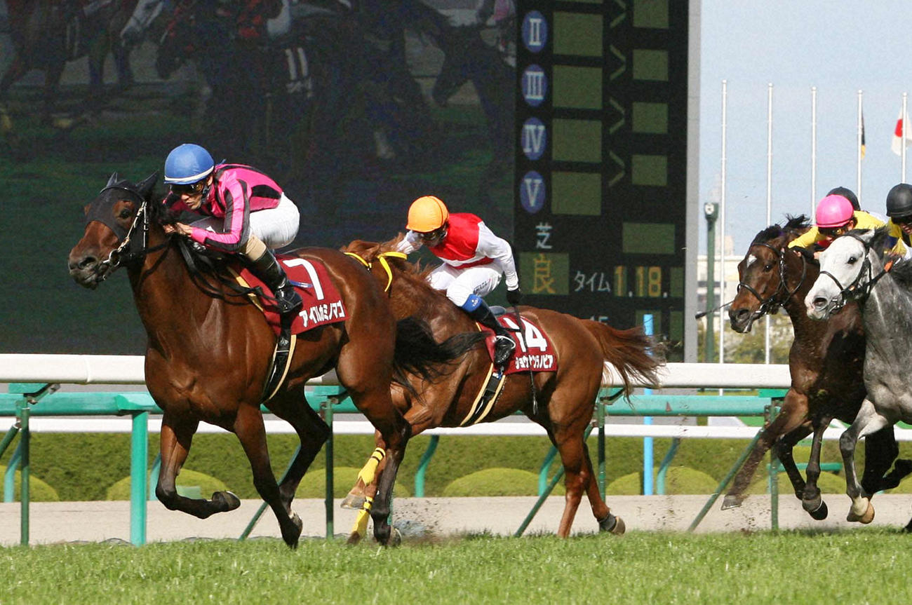 10年、阪神牝馬Sを制したアイアムカミノマゴ（左）