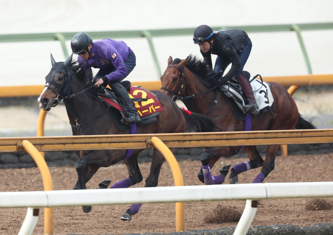 Cウッドをアーティット（右）と併せ馬で追い切るハーパー（撮影・白石智彦）