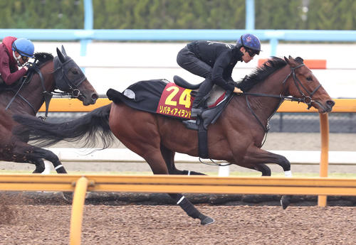 川田騎手を背にレッドラグラス(左)と併せ馬で追い切るリバティアイランド(撮影・白石智彦)